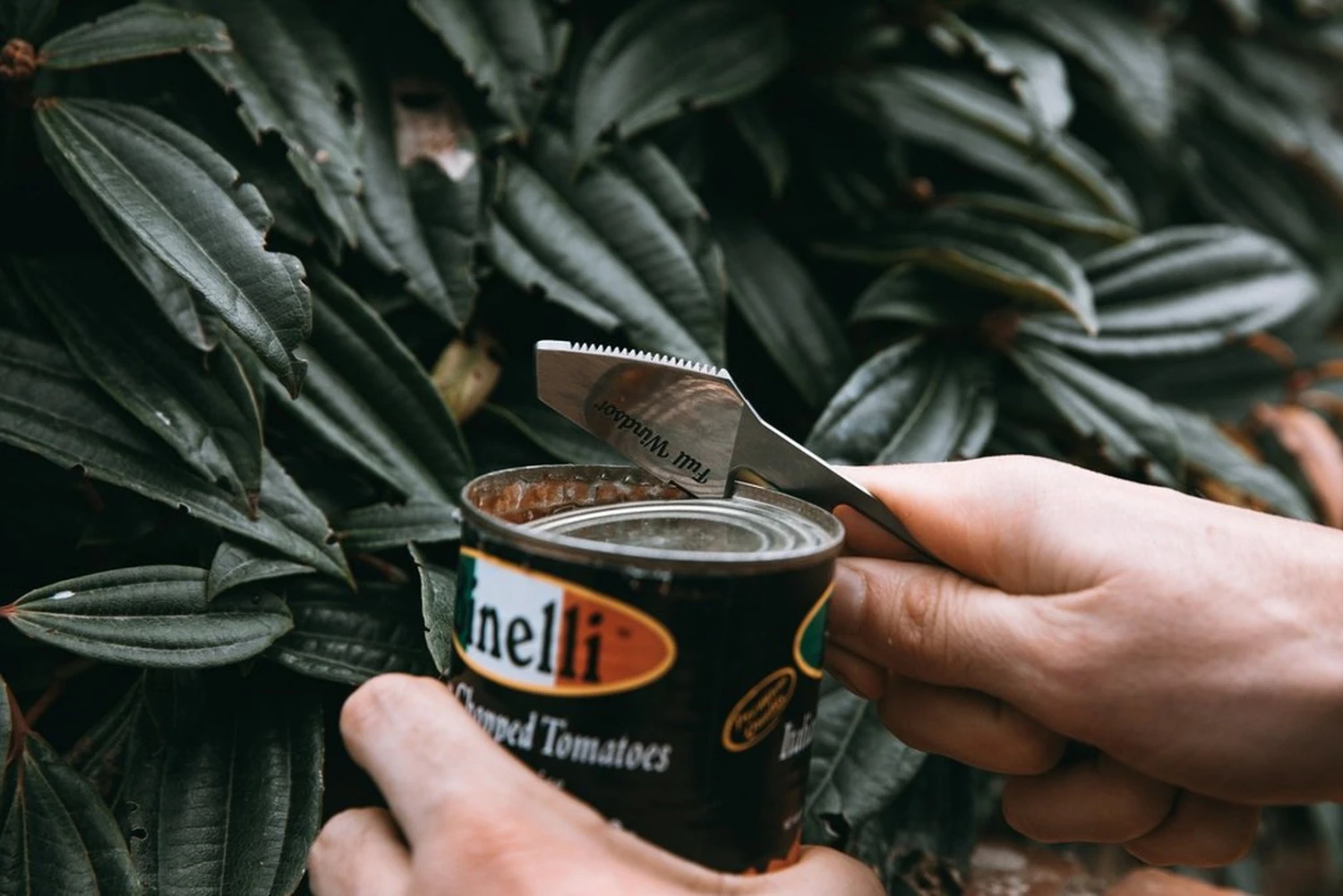 Full Windsor The Muncher – Image 12