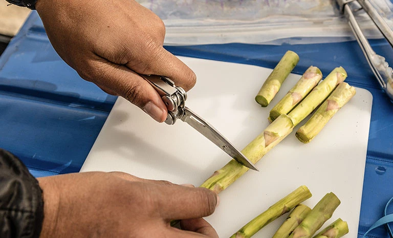 Leatherman Curl – Image 6