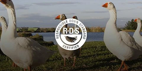 Oreiller Sea To Summit Aeros Down Pillow – Image 8